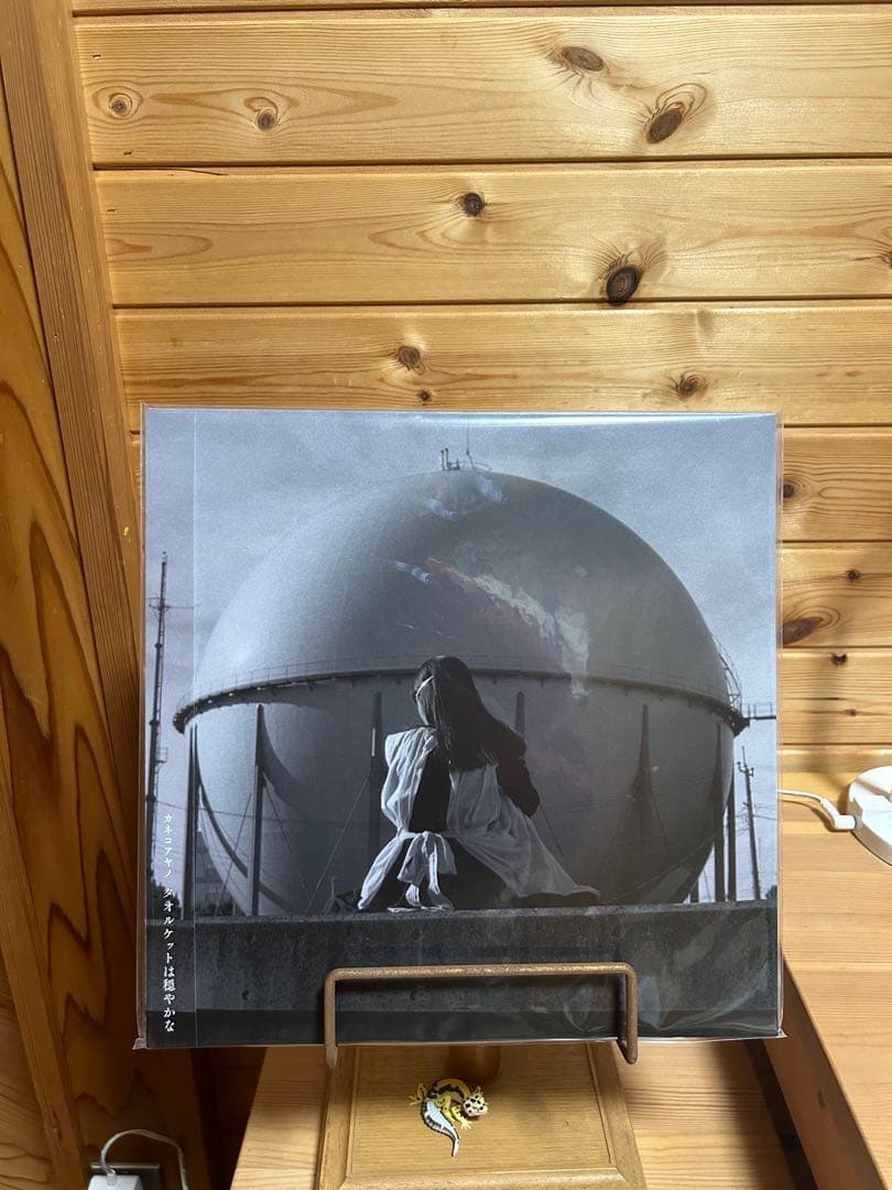 カネコアヤノ　わたしたちへ　レコード