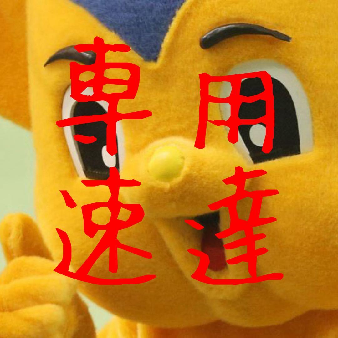 【塊根植物】サイカスカイルンシアナ 国内実生 ソテツ⑤