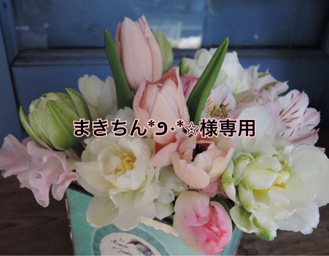 まきちん*೨⋆*✩