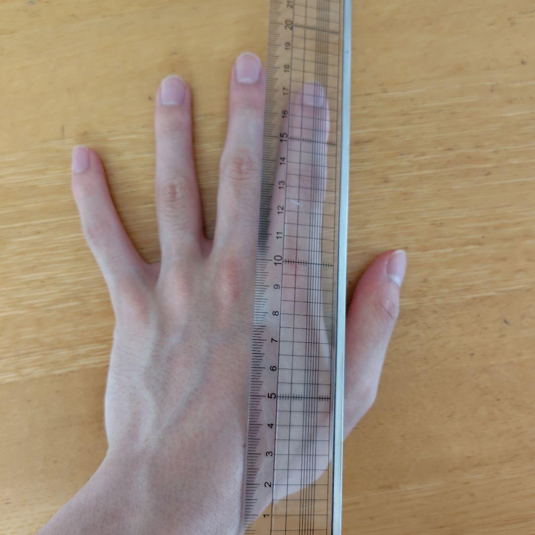 Rawlings 軟式内野用グローブ 黒　ジュニア　中古美品