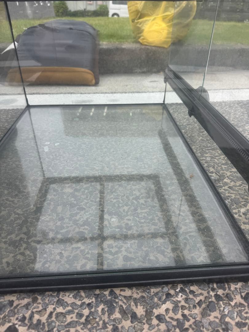 中型ガラス飼育ケージ