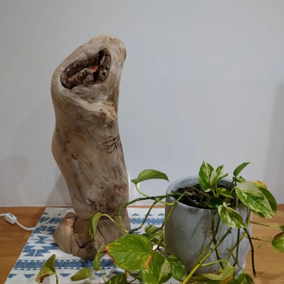 流木インテリア　スタンドライト　フロア照明