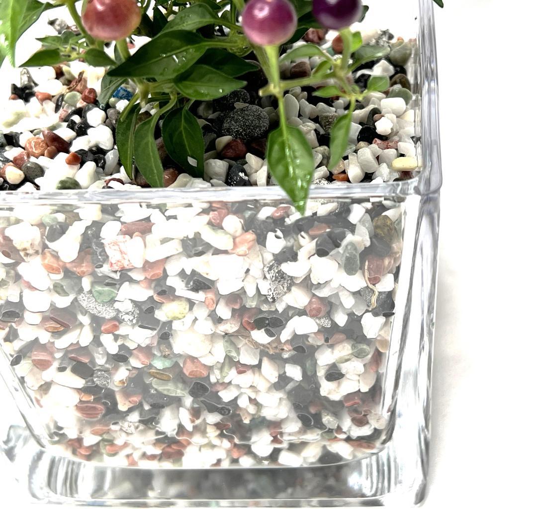 ガラス　花瓶　キューブ　16個　フラワーベース