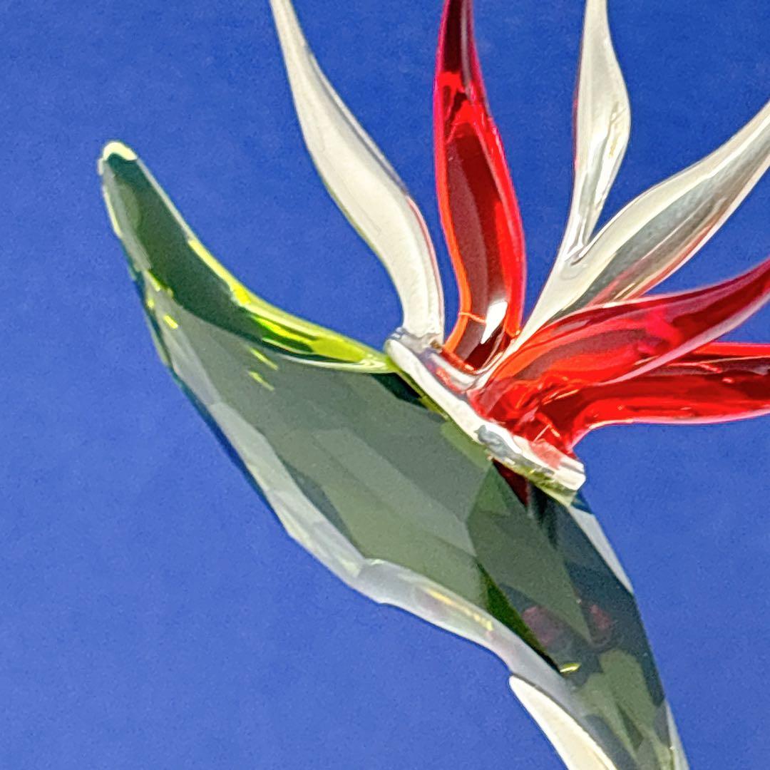 Swarovski スワロフスキー Dalmally Tropic Sun 箱付