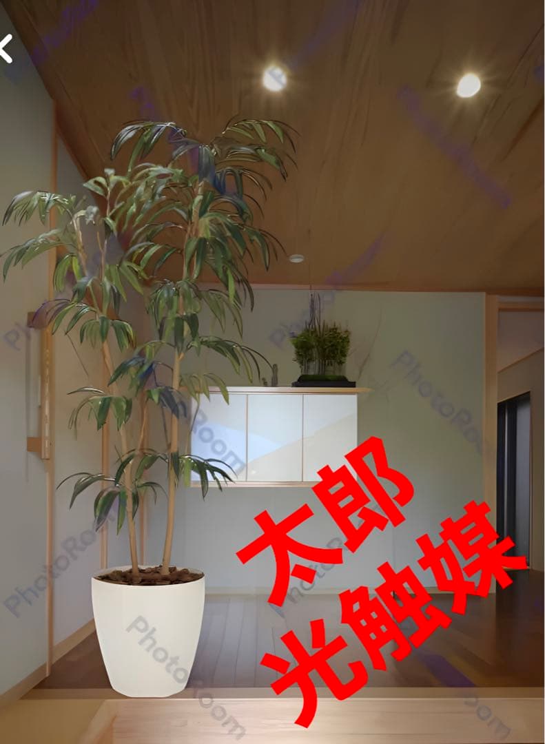 光触媒　人工観葉植物　フェイクグリーン ショウナンゴム1.8