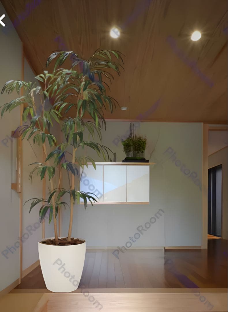 光触媒　人工観葉植物　フェイクグリーン ショウナンゴム1.8