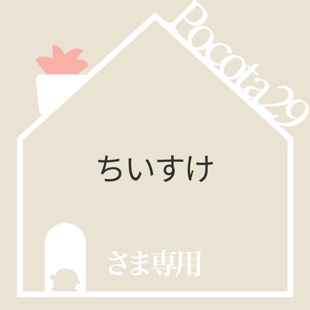 エケベリア　韓国苗　超特大　バロンボールド　多肉植物　ポコ多肉