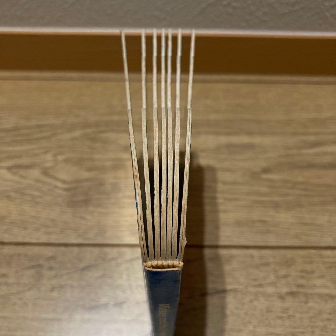 【時間限定価格】DWE シングアロング フル セットワールドファミリー 知育