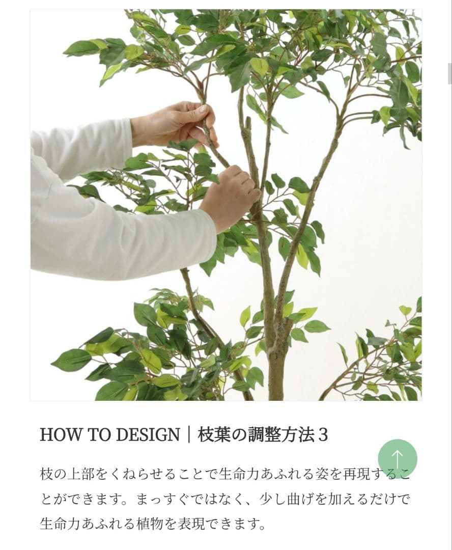 150cm　フェイクグリーン　ベンジャミン(フィカス)　光触媒　観葉植物