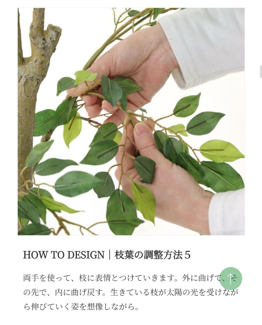 150cm　フェイクグリーン　ベンジャミン(フィカス)　光触媒　観葉植物