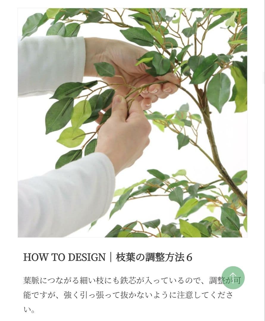 150cm　フェイクグリーン　ベンジャミン(フィカス)　光触媒　観葉植物