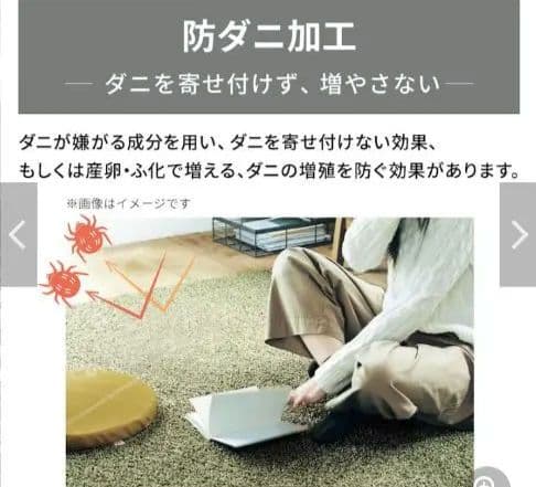 掃除を重視する方へ！自宅で洗濯で防ダニ仕様でグリーン約１９０×１９０（四角）