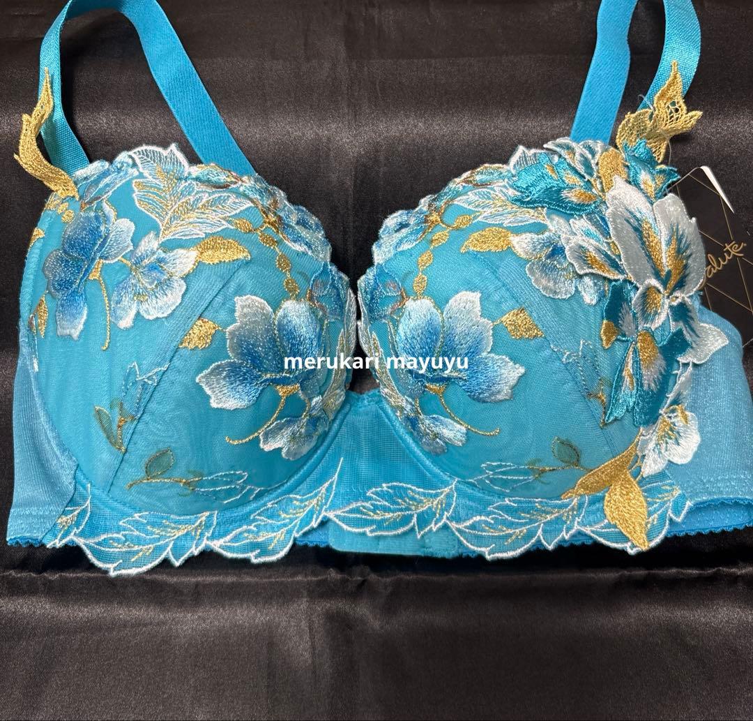 サルート 71group ブラF70 ソングL