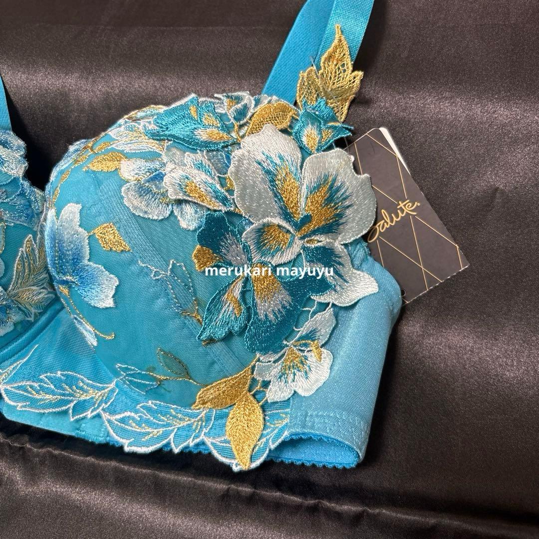 サルート 71group ブラF70 ソングL