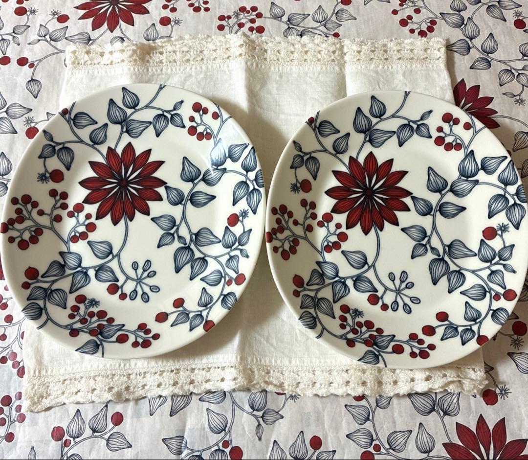 アラビア ルノ フロストベリー オーバルプレート25cm2枚セット