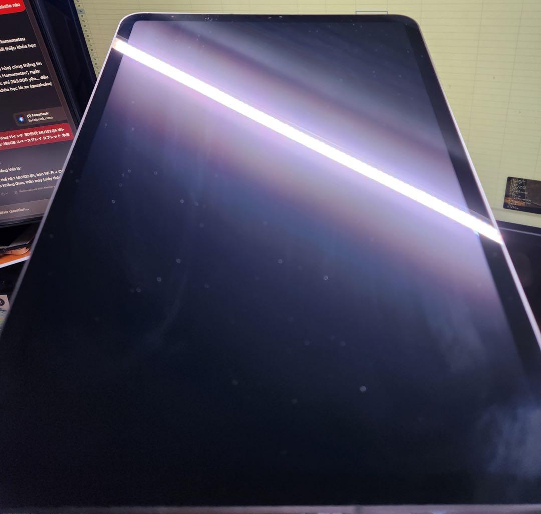 IPad 11インチ 第1世代 Wi-Fi+Cellular 256GB