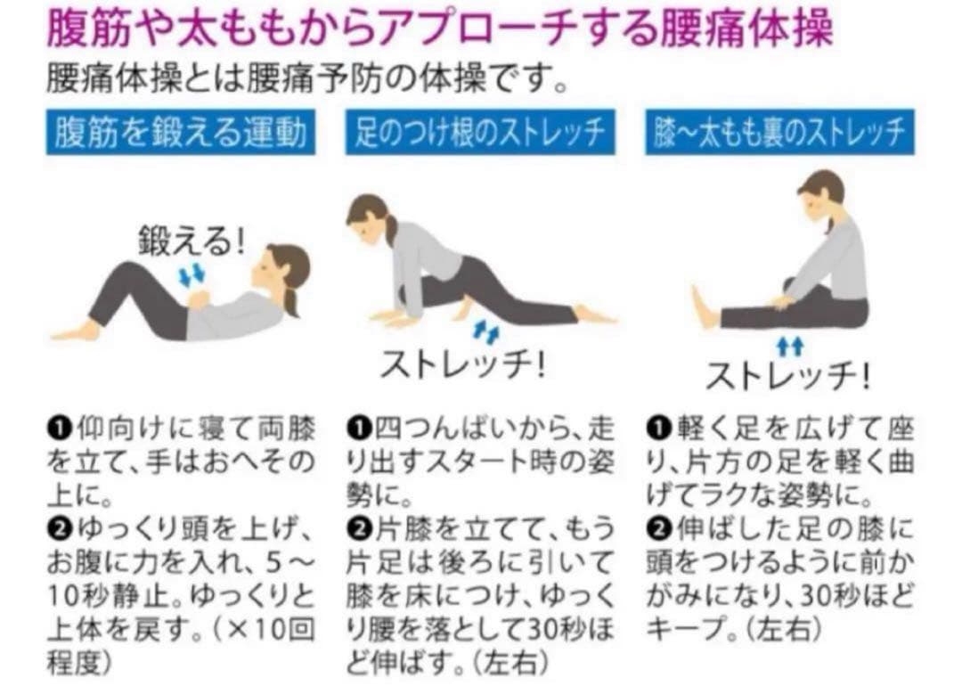 シャルレ　腰サポートガードル　82