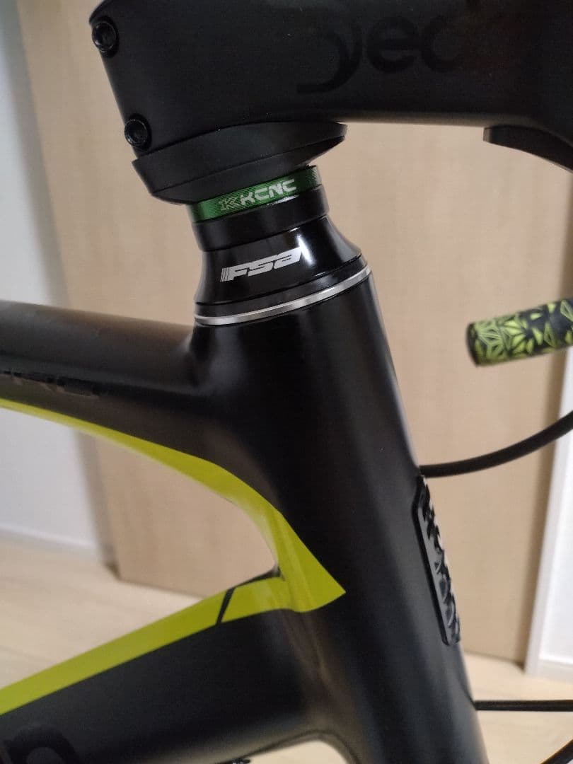 2020　Tern Surge pro delta color