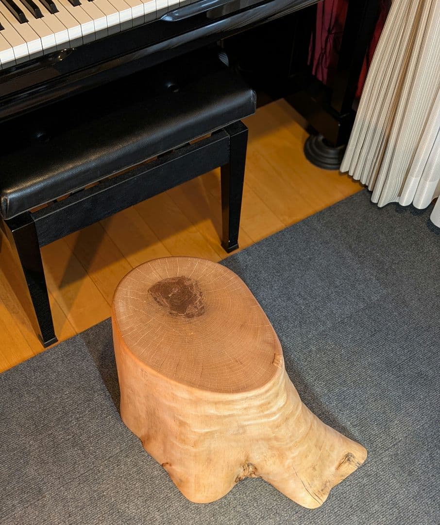 KOHQ　水目桜　天然木　切り株　椅子　スツール　高さ約34.5cm