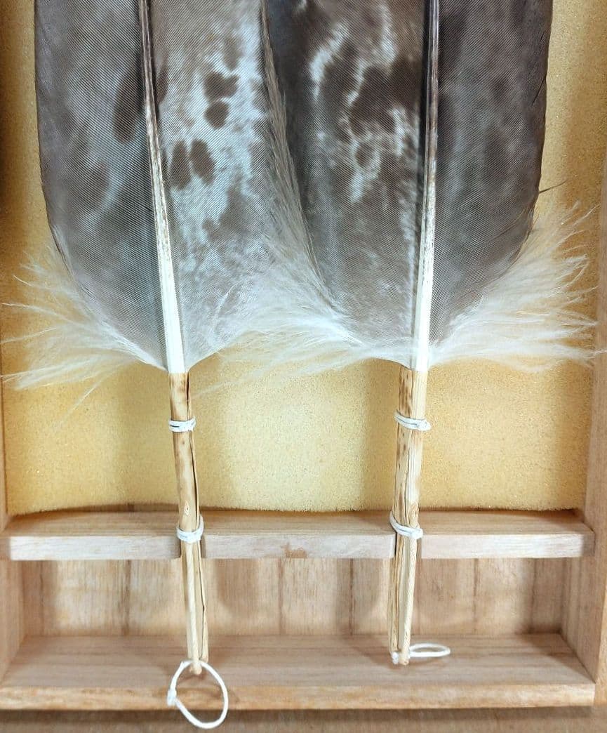 飛来一閑 磯鷲羽箒一双≪裏千家十五代 鵬雲斎 書付≫共箱 出荷当初からの外紙箱