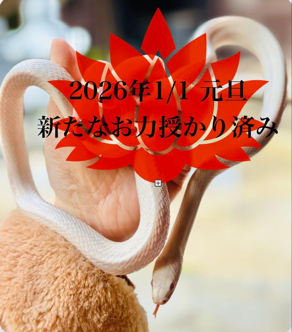 持つ方を選ぶ石♥神秘レムリアンシードクォーツ…☪︎*。꙳ 更に龍神様が潜む虹入り♥