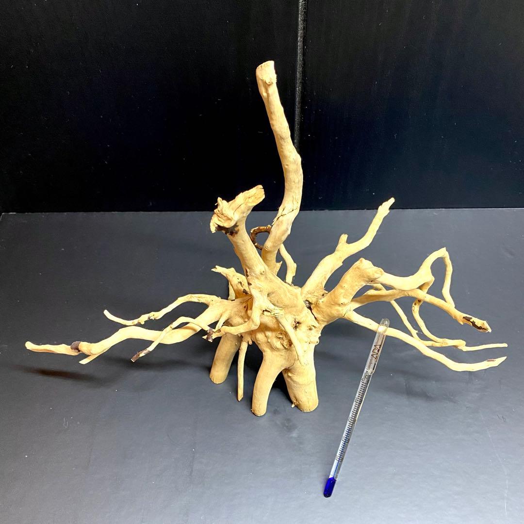 アクアデザインアマノ　ADA