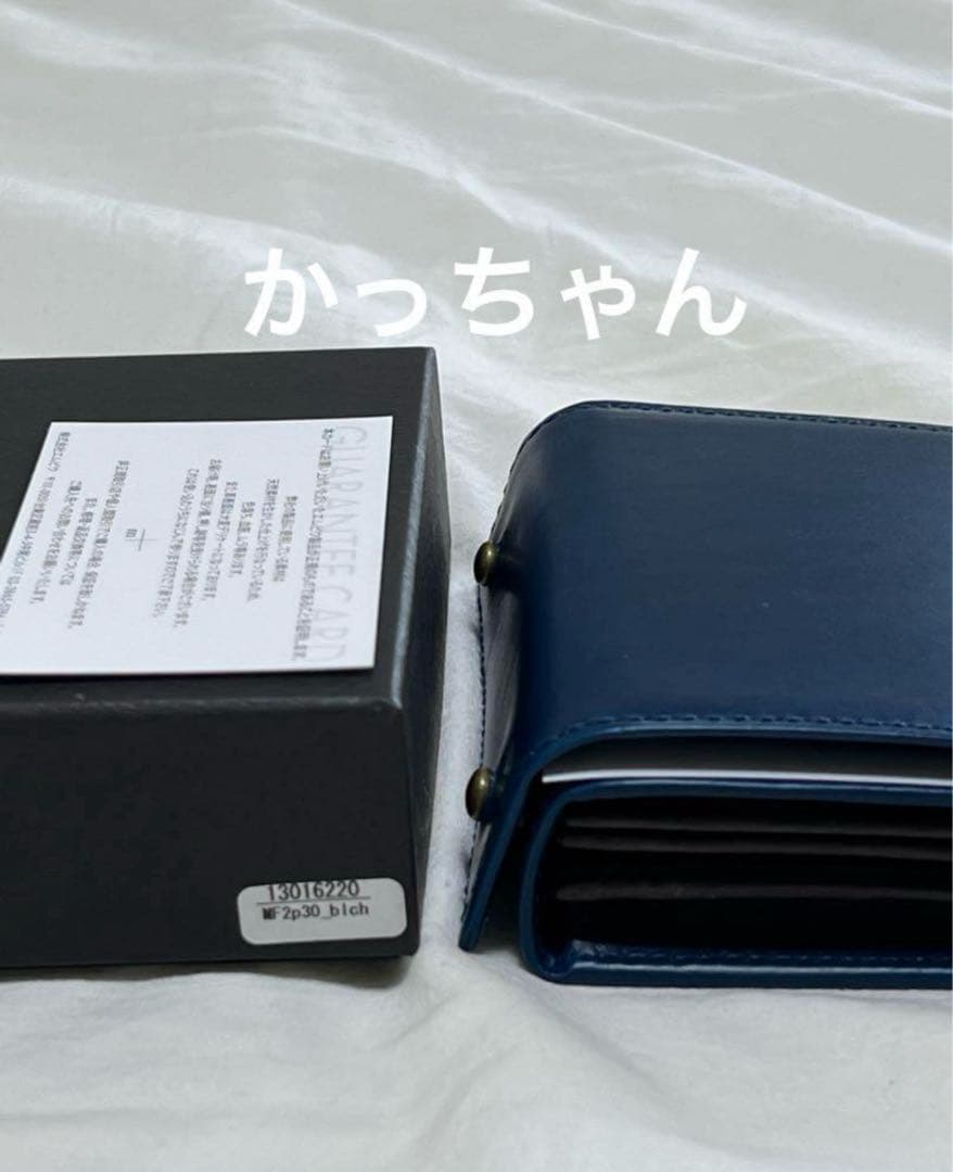 M+30　エムピウ　ミッレフォッリエ P30 ブルーチョコ