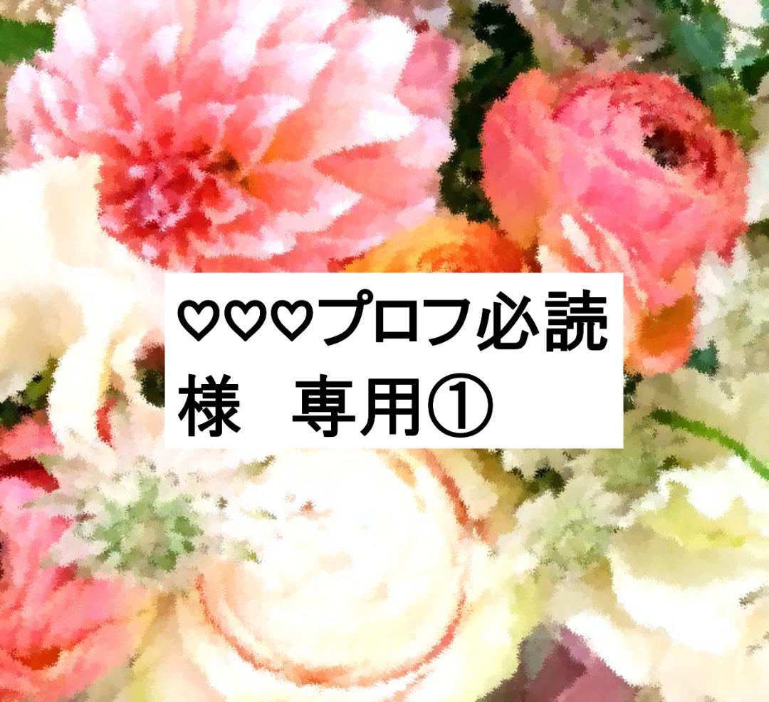 ♡♡♡プロフ必読① ディスク全未開封 2023年 最新版フルセット DWE