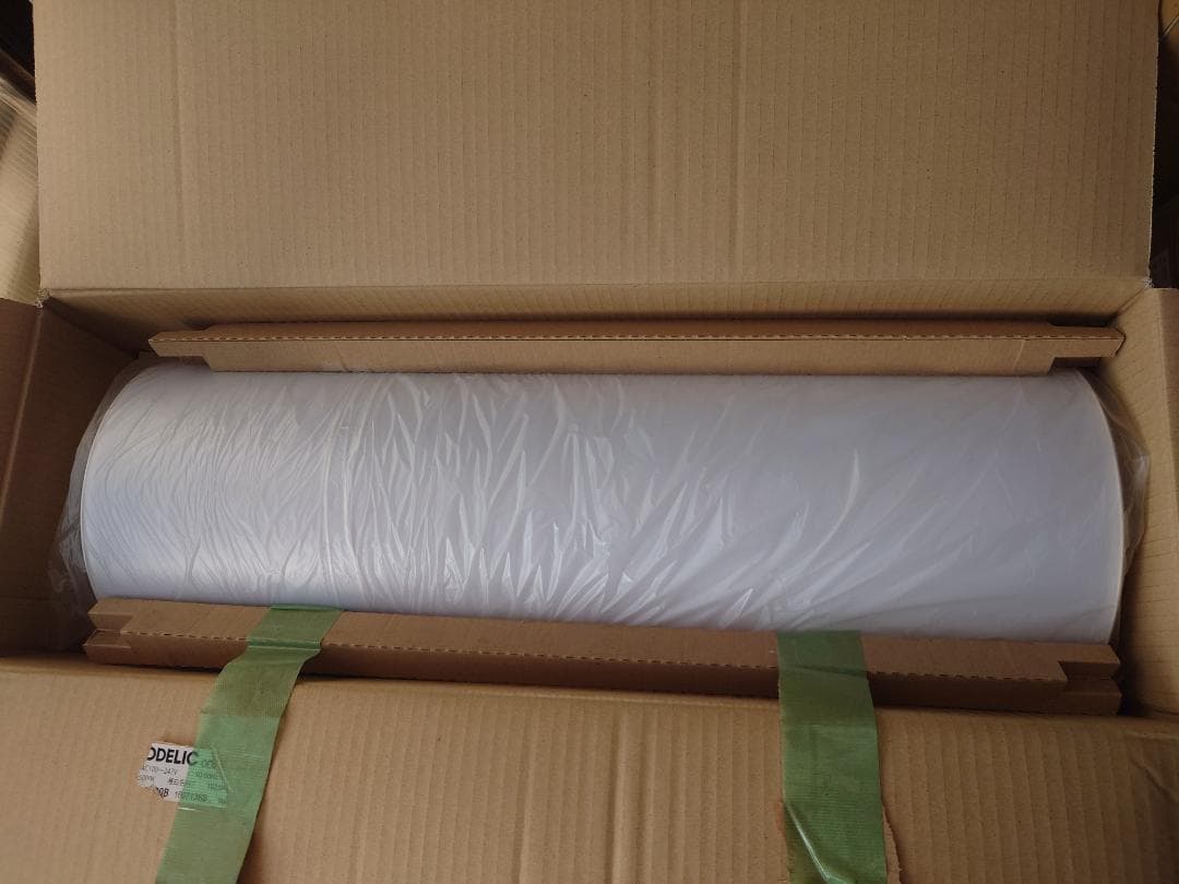 Odelic OL251289#Y LEDキッチンライト