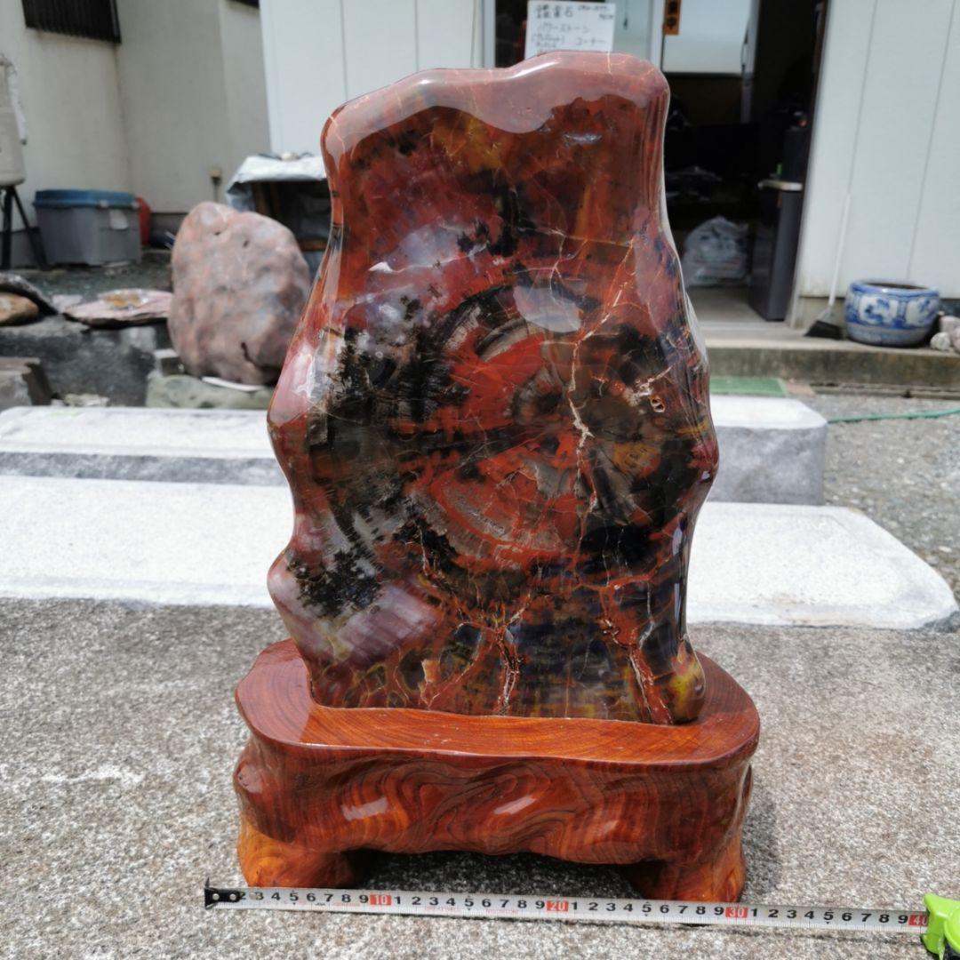 アリゾナ産　珪化木　木化石　鑑賞石　石　置物　オブジェ　インテリア