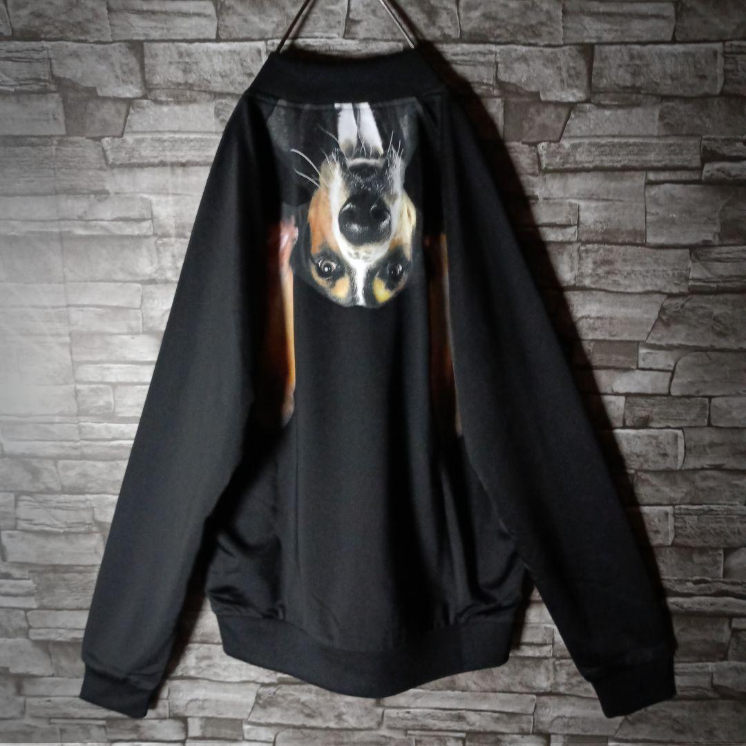 タグ付き☆アディダス×リタオラ ジャージ バックロゴ ATPタイプ 希少サイズ