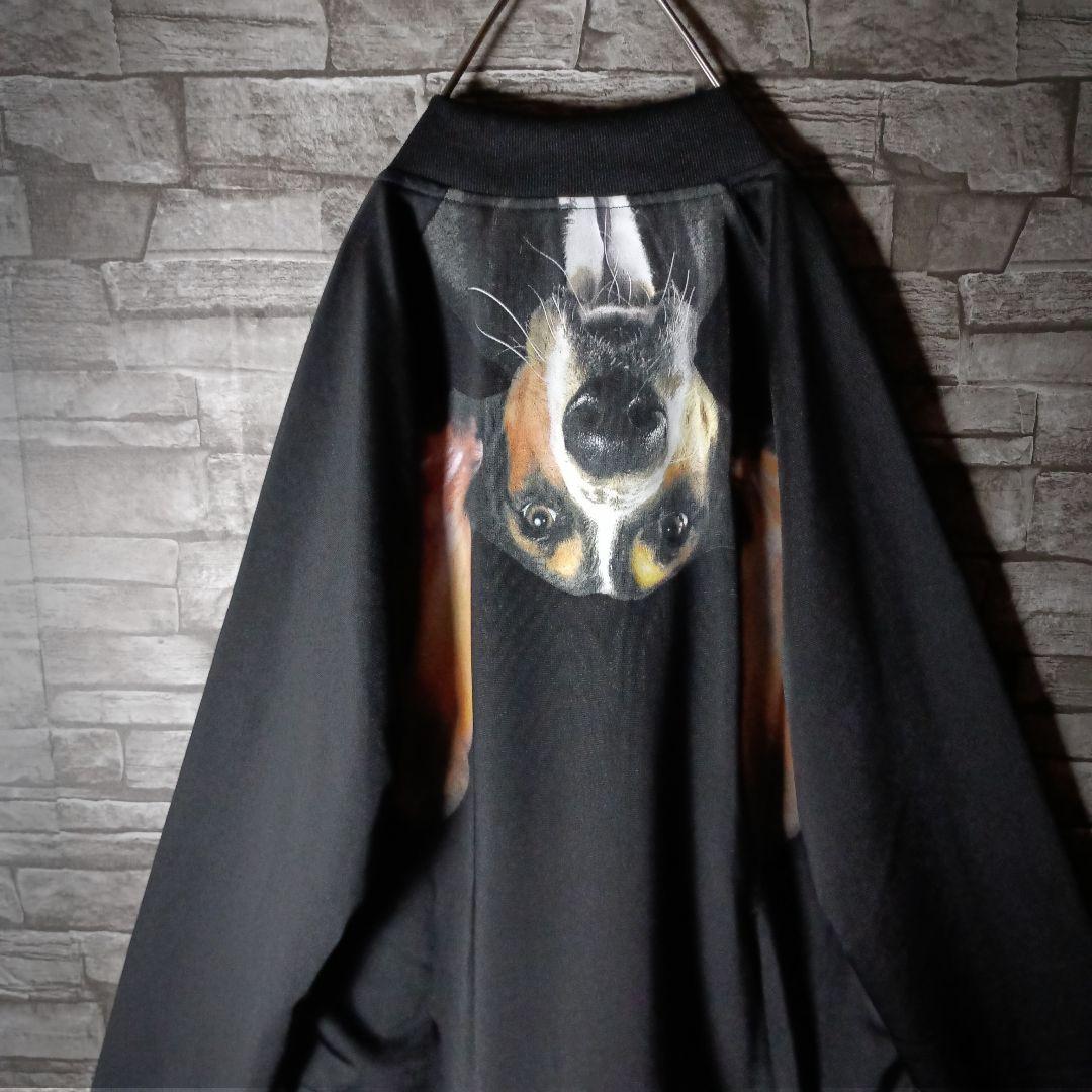 タグ付き☆アディダス×リタオラ ジャージ バックロゴ ATPタイプ 希少サイズ