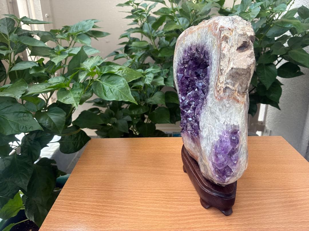 【アメジストクラスター】 無塗装銘木台座付き天然石 インテリア 寝かせて浄化