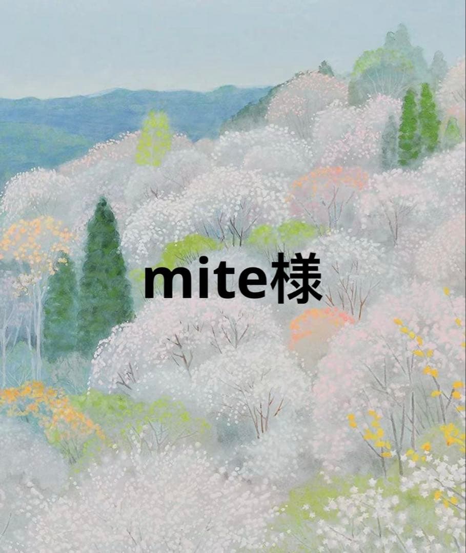 mite　詳細必読