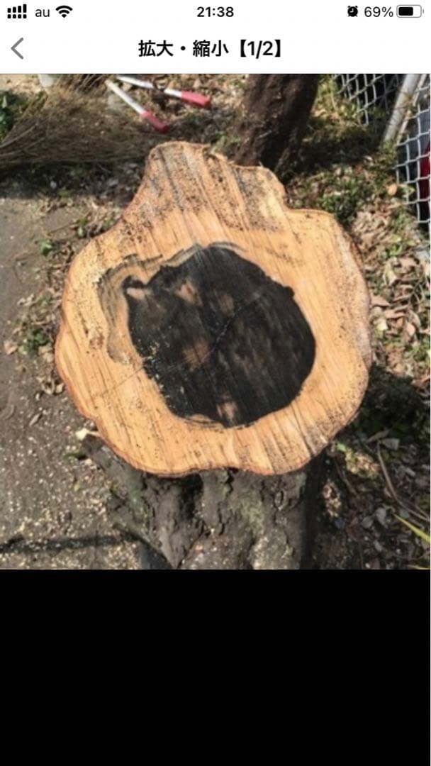 沖縄三線　本島黒木　拝領南風原型　みーむん