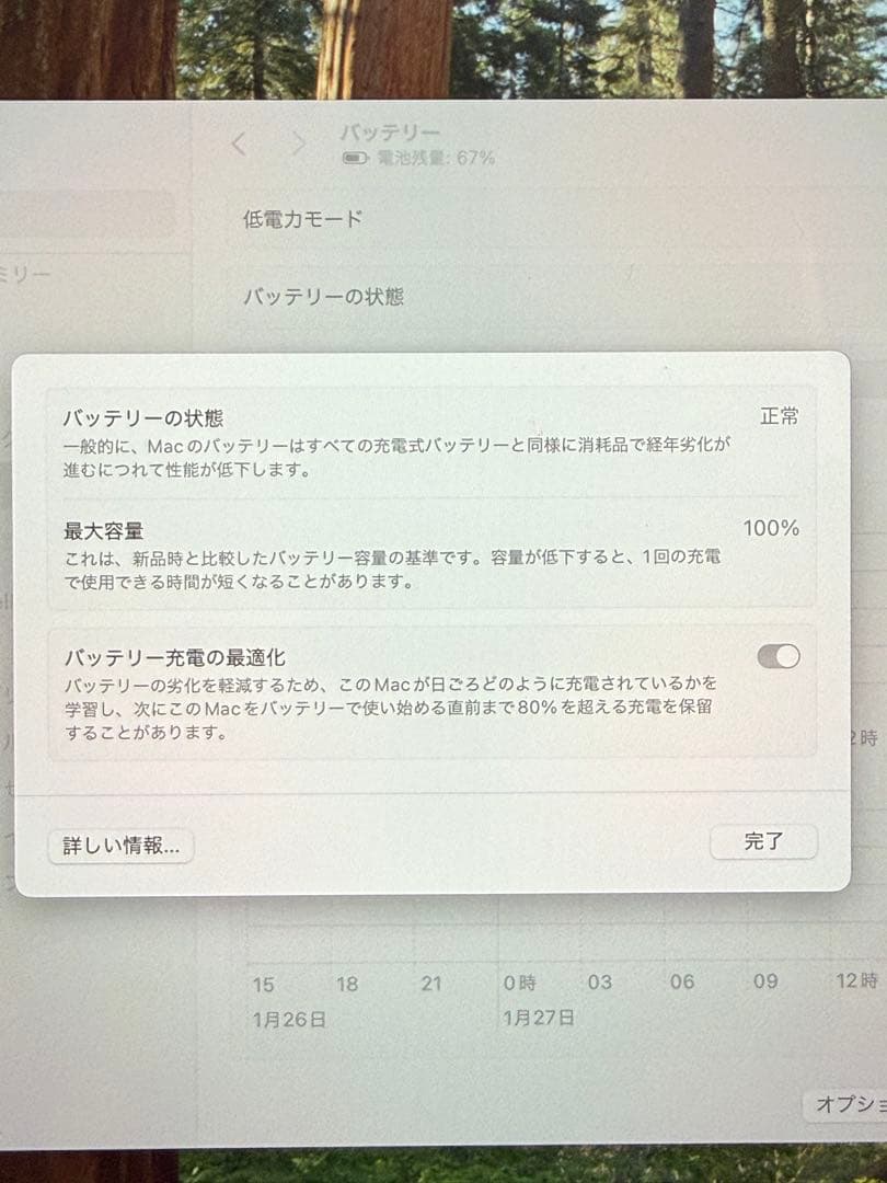 【ほぼ未使用】MacBook Air M4 16GB 256GB スカイブルー