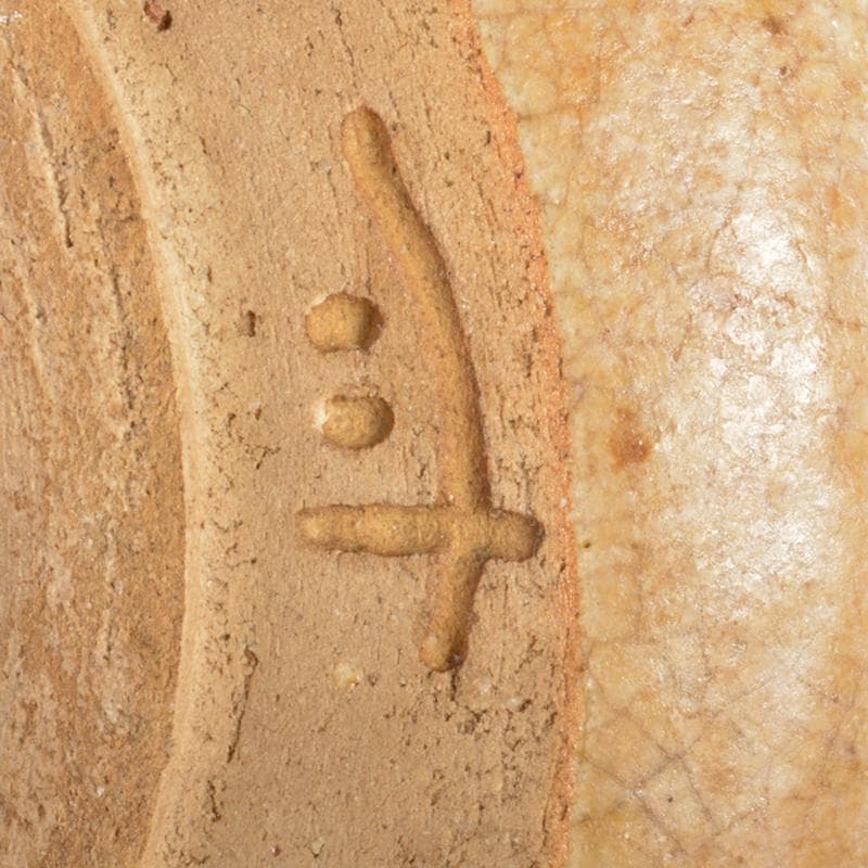 人間国宝　荒川豊蔵作　黄瀬戸　菊紋皿　共布　鵬雲斎極め箱　M　R6945