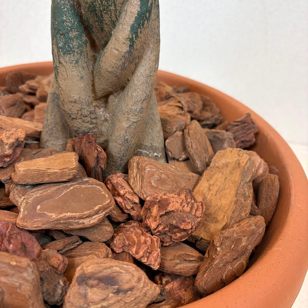 送料無料 大型フェイクグリーン 人工観葉植物 光触媒 170cm パキラ