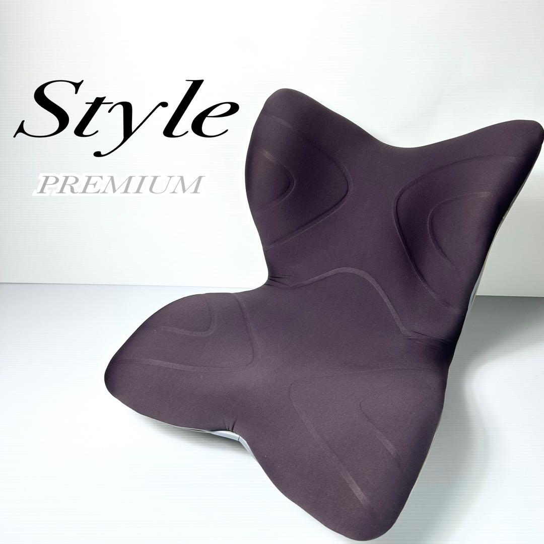 綺麗☆MTG Style PREMIUM スタイル プレミアム 骨盤 姿勢矯正