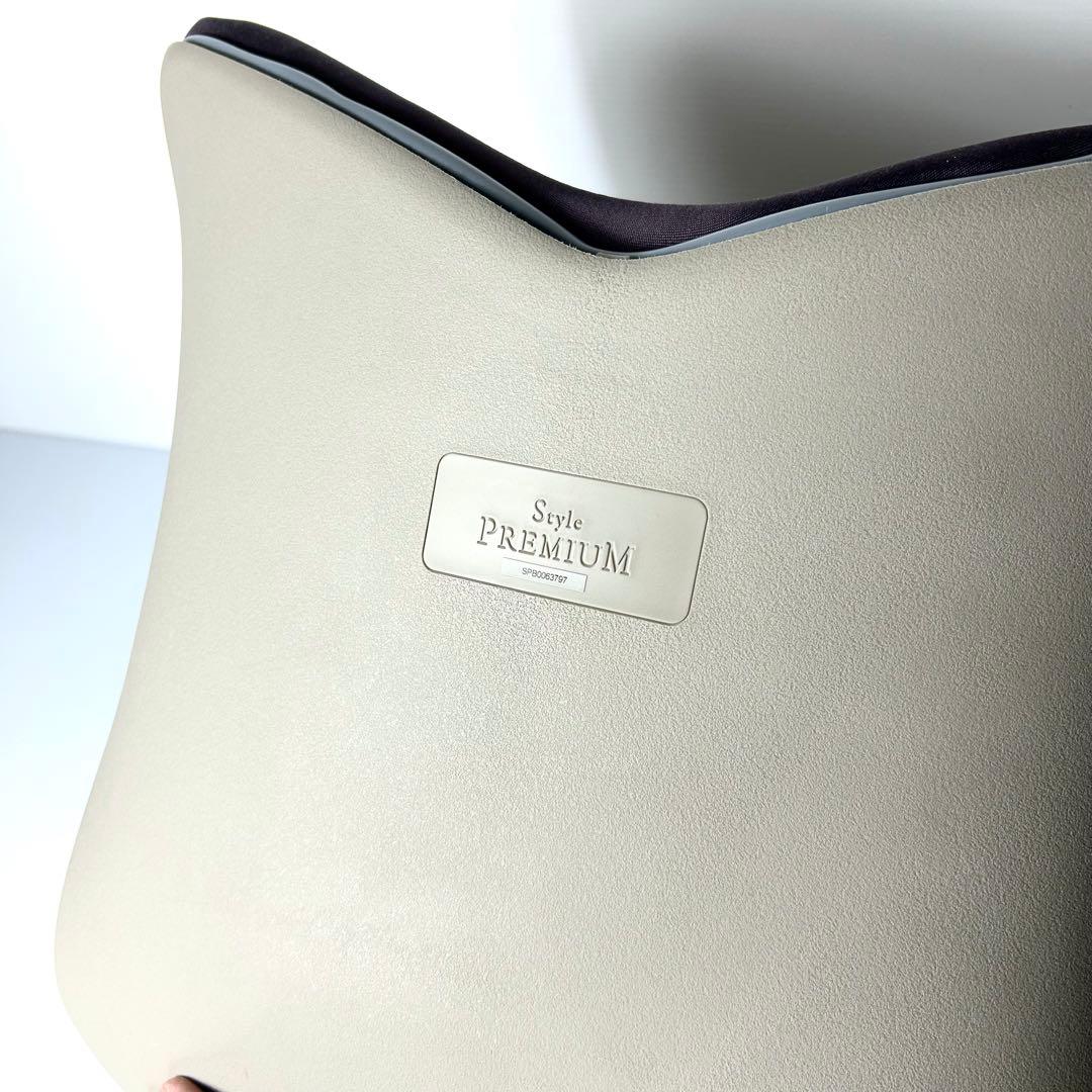 綺麗☆MTG Style PREMIUM スタイル プレミアム 骨盤 姿勢矯正