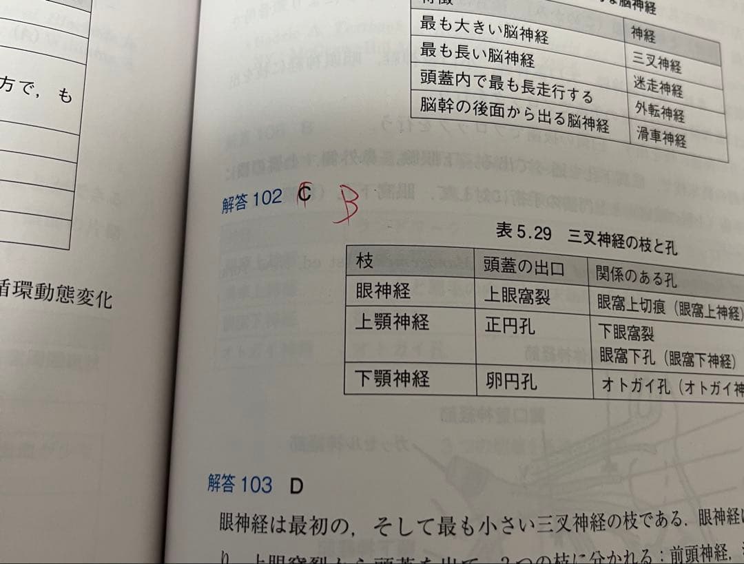 問題形式で学ぶ 区域麻酔と疼痛治療