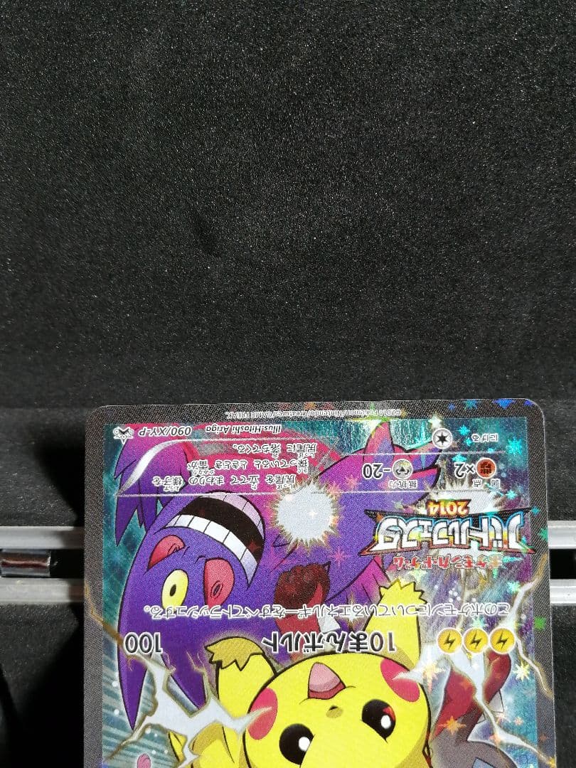 ピカチュウ　バトルフェスタ　2014