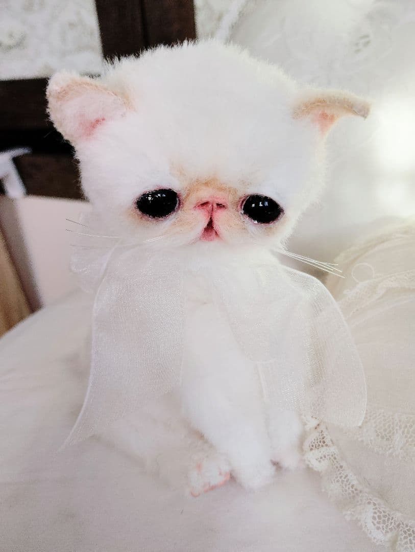 エキゾチック子猫ちゃん♡くりりんオメメ♡アートドール♡ぬいぐるみ♡