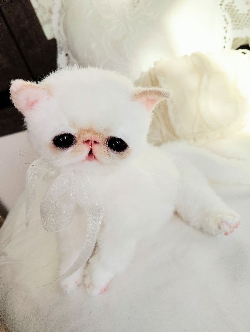 エキゾチック子猫ちゃん♡くりりんオメメ♡アートドール♡ぬいぐるみ♡