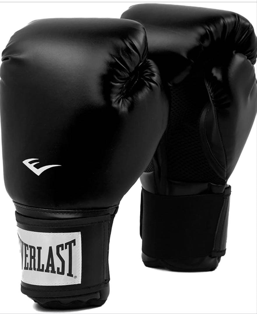 Everlast Pro Style 2 ボクシンググローブ 黒　Lサイズ