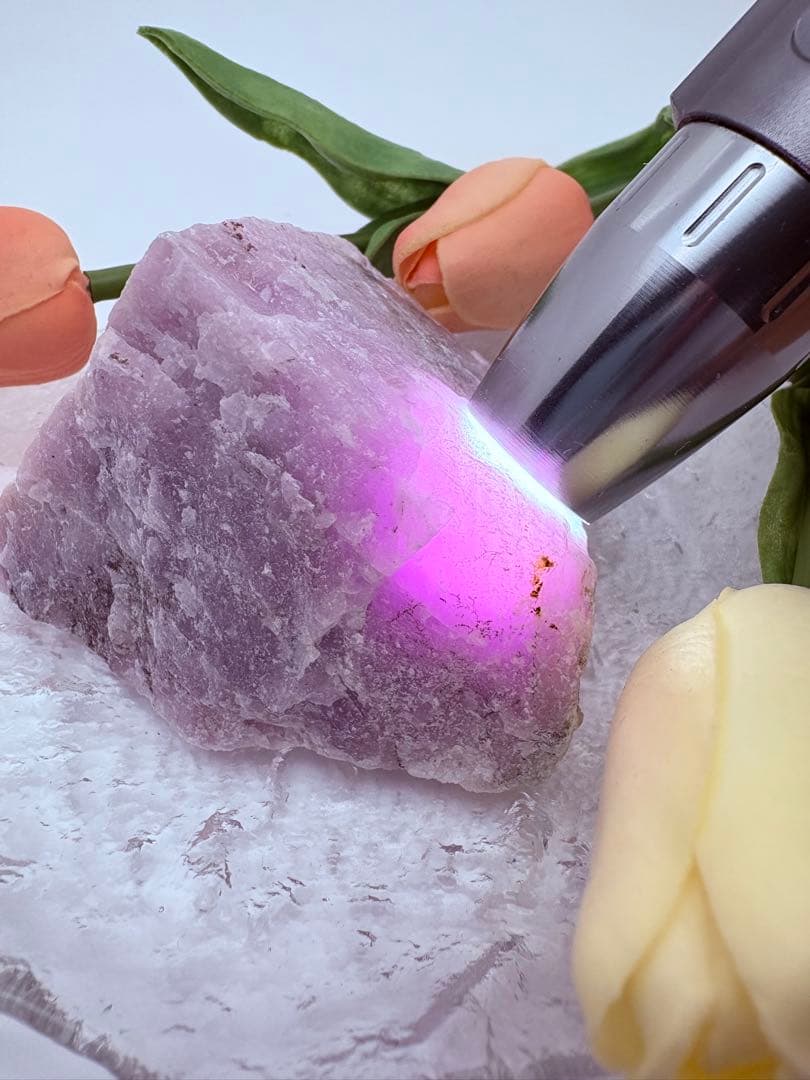 高品質クンツァイト原石 ✦ 希少大きめ343g ✦ 強い浄化力 × 空間調和