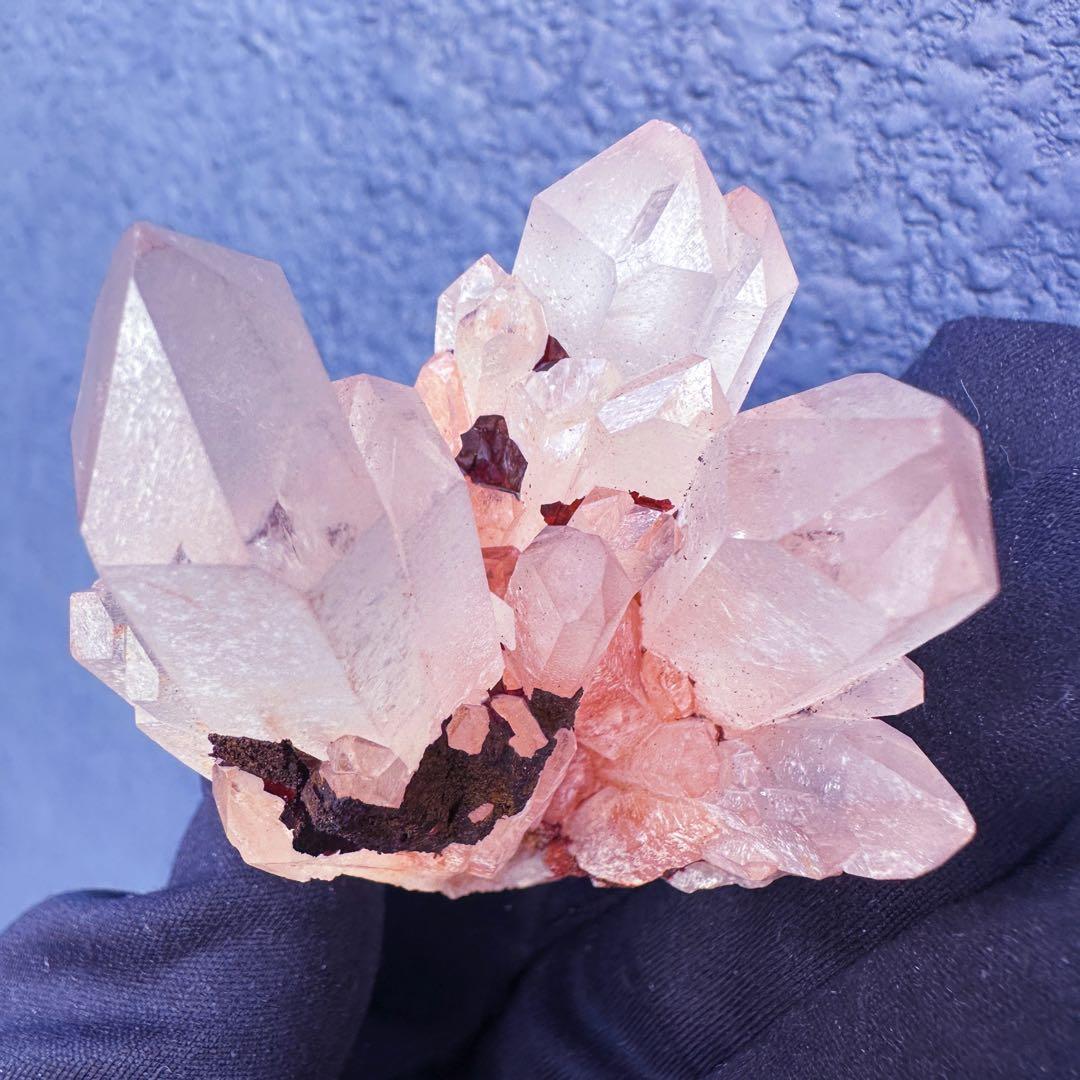 爆アレ❗️可愛いピンク♡超綺麗マダガスカル産パイナップルピンククラスターA1468