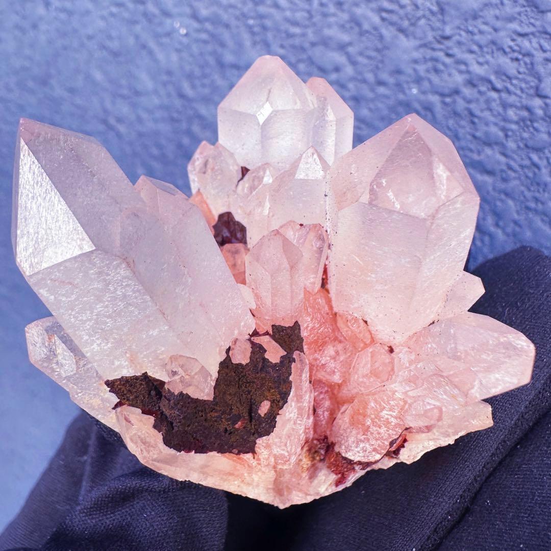 爆アレ❗️可愛いピンク♡超綺麗マダガスカル産パイナップルピンククラスターA1468