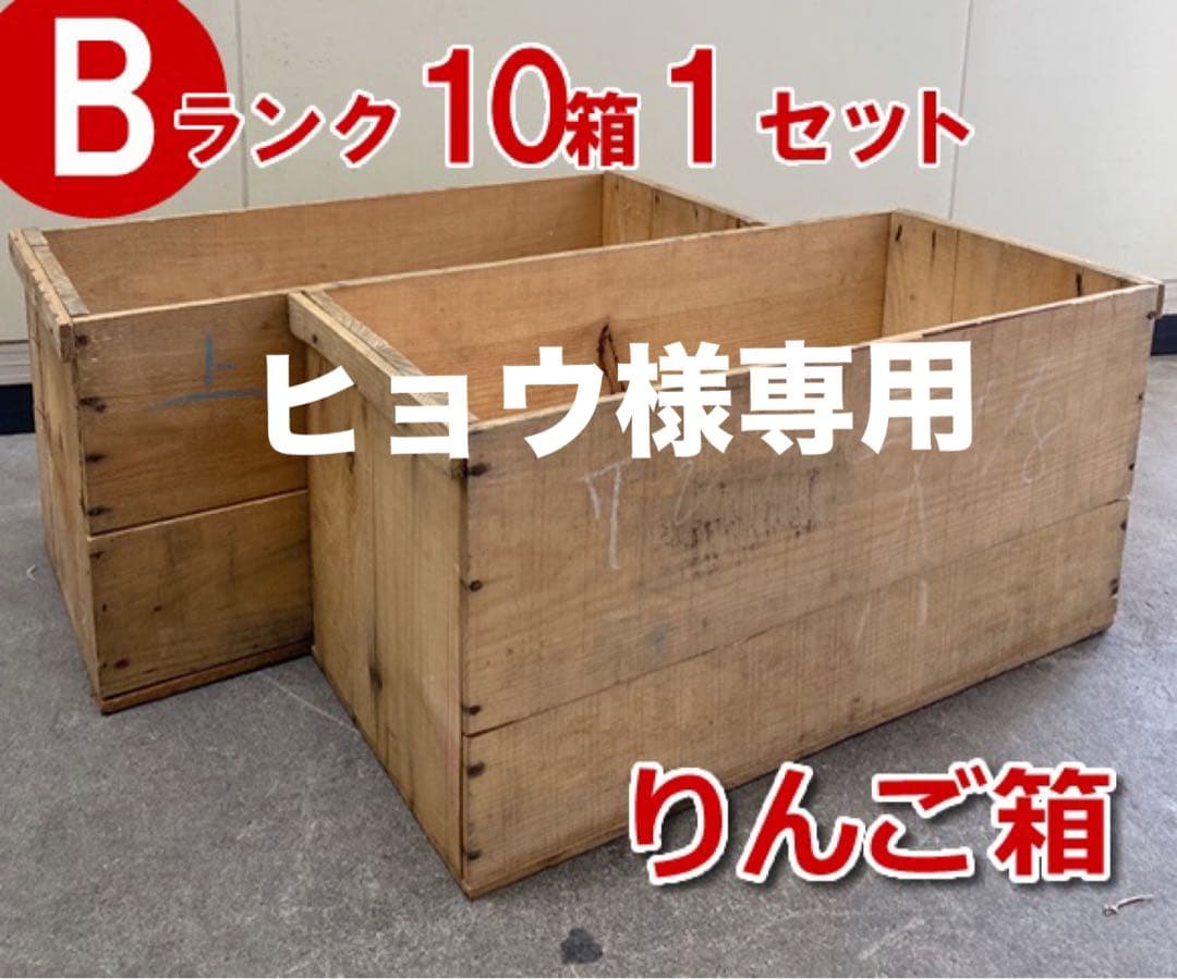 ヒョウ 　Bランクりんご箱10箱1セット