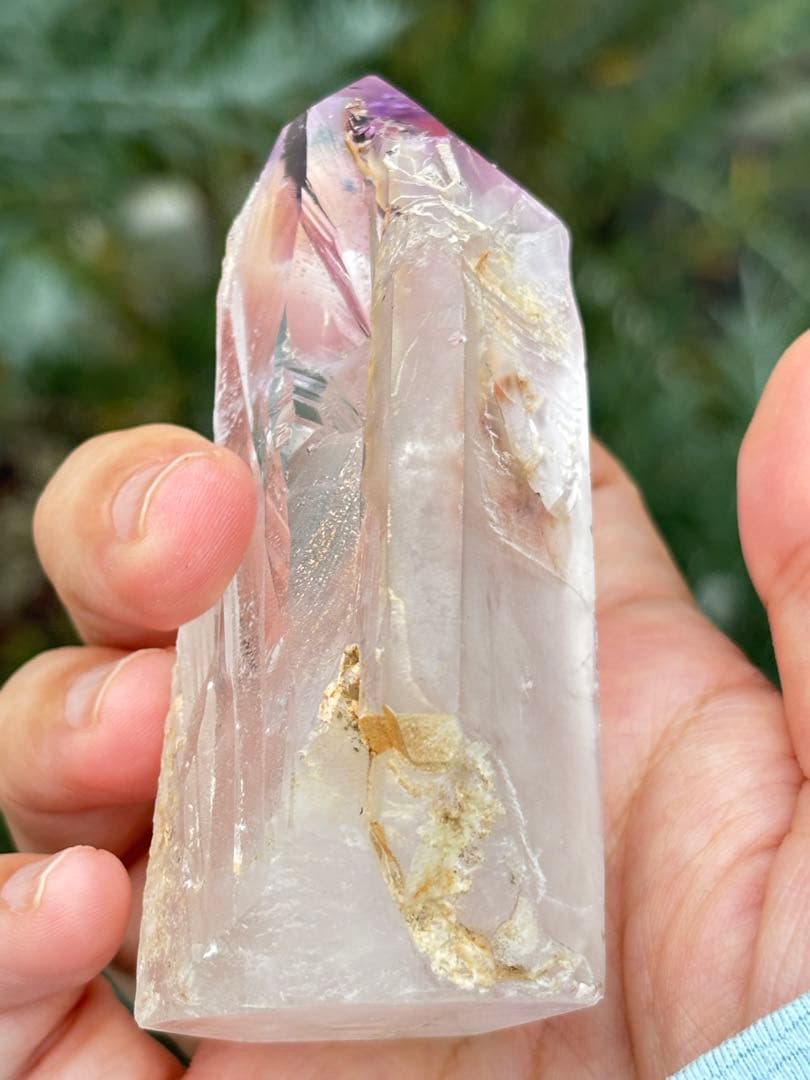 虹　スーパーセブン　成長痕　特別　きらきら　極上